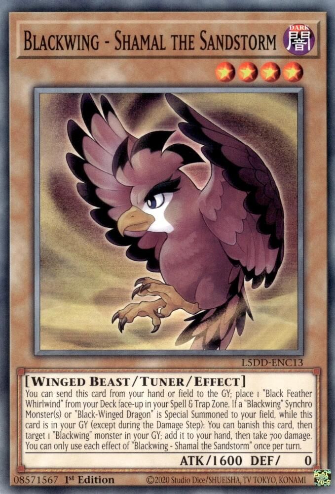 Blackwing - Shamal the Sandstorm (L5DD-ENC13) - Common
