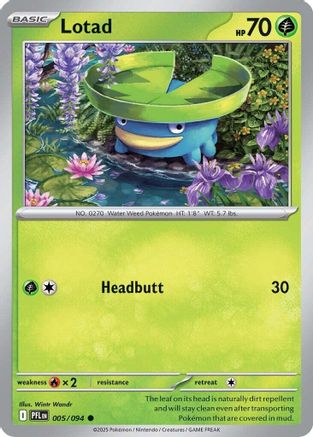 Lotad 005  - Reverse Holofoil - Common