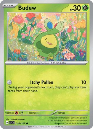 Budew 016/217  - Common