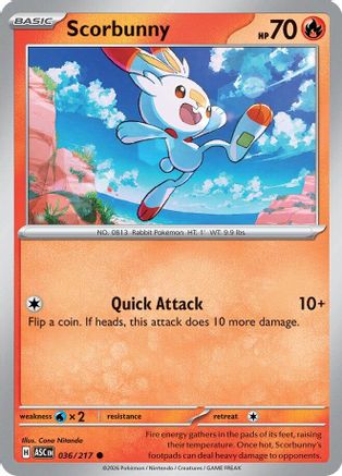 Scorbunny 036/217  - Reverse Holofoil - Common