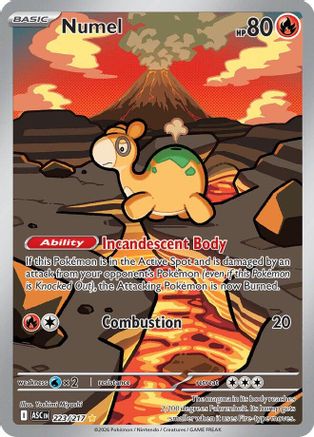 Numel 223/217  - Holofoil - Illustration Rare