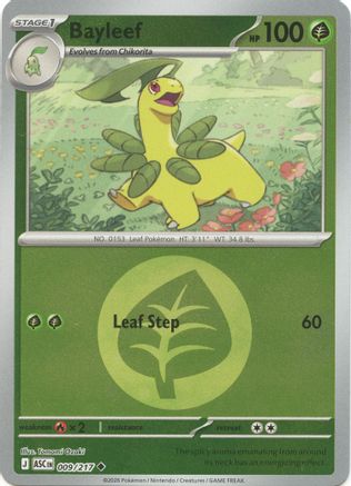 Bayleef (Energy Symbol Pattern) 009  - Reverse Holofoil - Uncommon