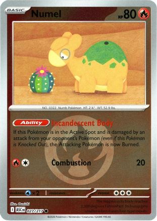 Numel (Energy Symbol Pattern) 027/217  - Reverse Holofoil - Common