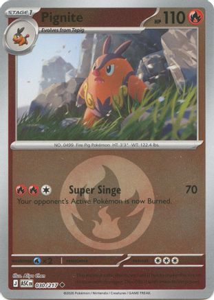 Pignite (Energy Symbol Pattern) 030  - Reverse Holofoil - Uncommon