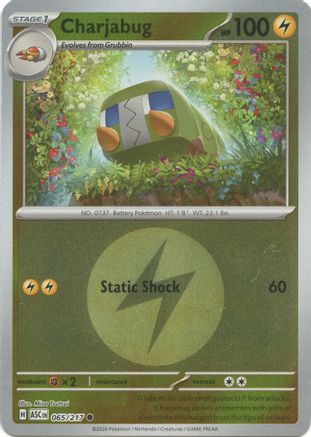 Charjabug (Energy Symbol Pattern) 065  - Reverse Holofoil - Common