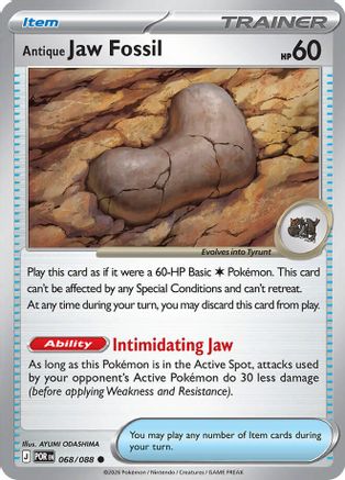 Antique Jaw Fossil 068  - Common