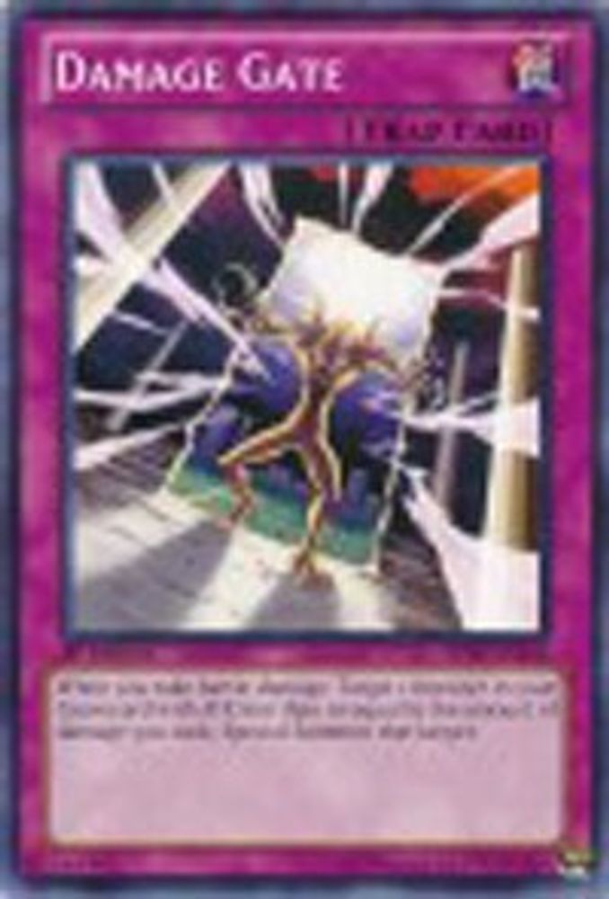Damage Gate (BP02-EN205) - Common