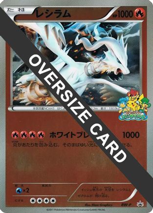 JPN - Reshiram (Beginner's Battle Conference) (Jumbo)  - Holofoil - None