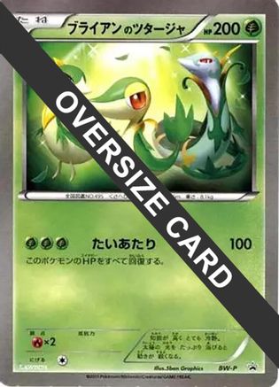 JPN - Snivy (Lawsons Original Customization Jumbo Card)  - Holofoil - None