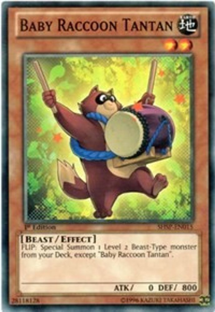 Baby Raccoon Tantan (SHSP-EN015) - Common