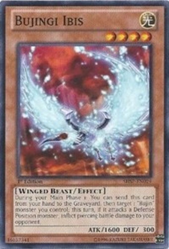 Bujingi Ibis (SHSP-EN024) - Common