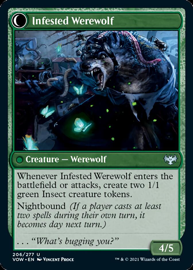Expert en infestation // Loup-garou infesté [Innistrad : Vœu Pourpre] 