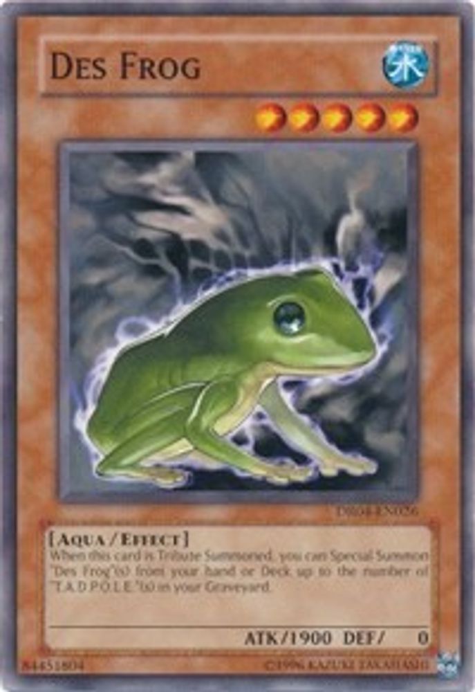 Des Grenouille [DR04-EN026] Commun 