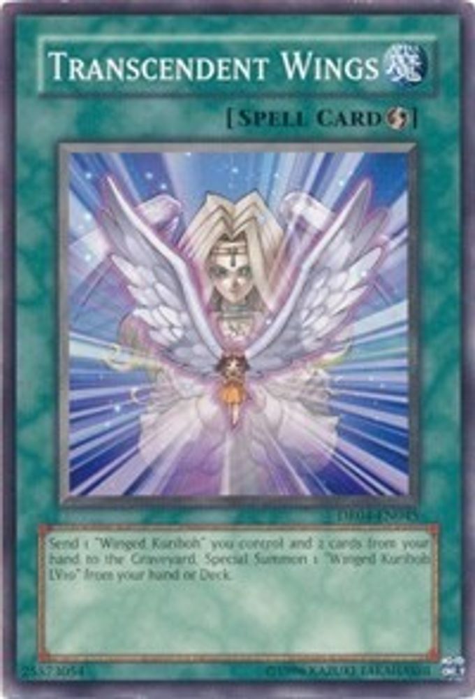 Transcendent Wings (DR04-EN045) - Common