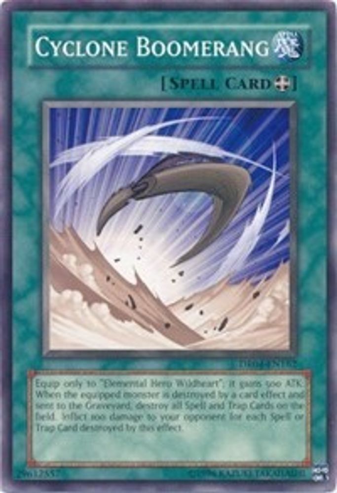 Cyclone Boomerang (DR04-EN162) - Common