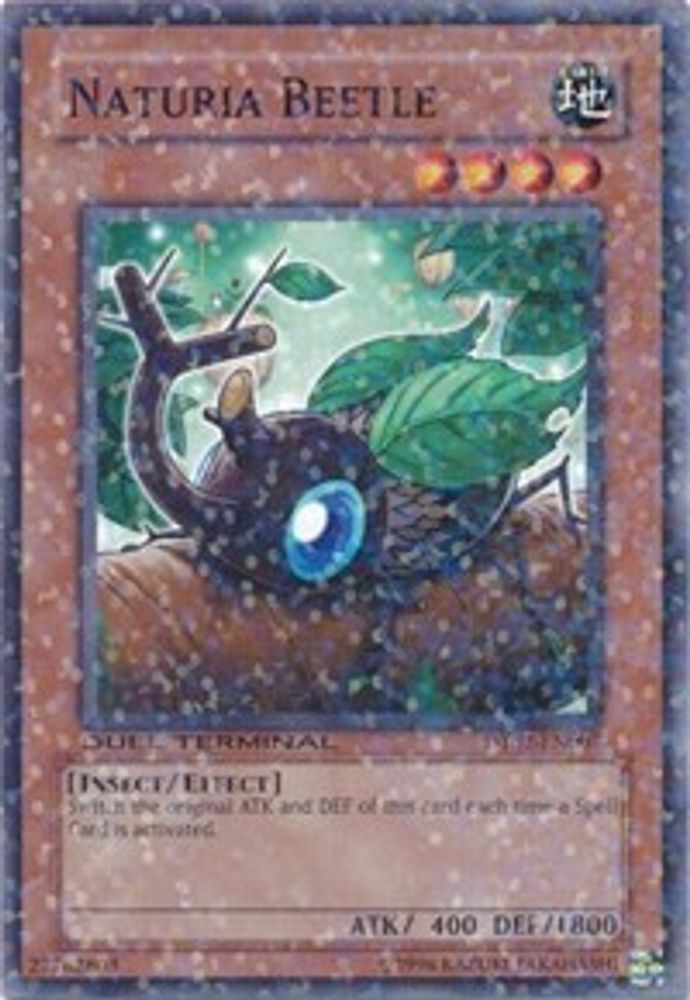Coléoptère Naturia [DT02-EN007] Commun 