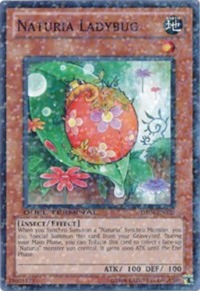 Coccinelle Naturia [DT04-EN030] Commune 