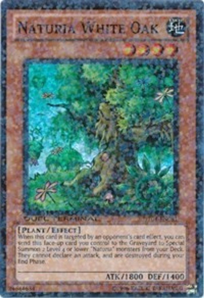 Chêne blanc Naturia [DT04-EN081] Super Rare 