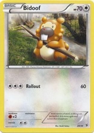 Bidoof  - Common