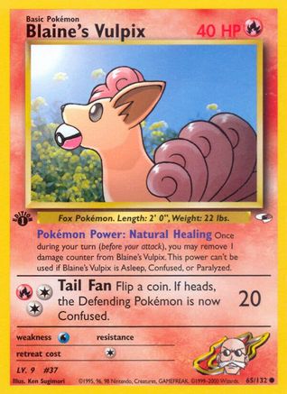 Blaine's Vulpix 065  - 1st Edition - Common