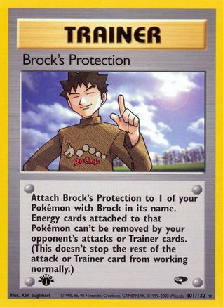 Brock's Protection 101  - 1st Edition - Rare