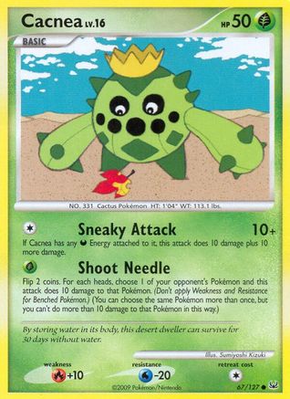Cacnea  - Common