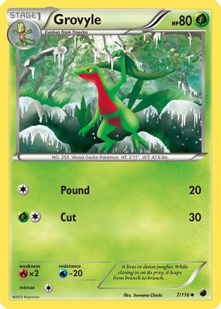 Grovyle  - Uncommon