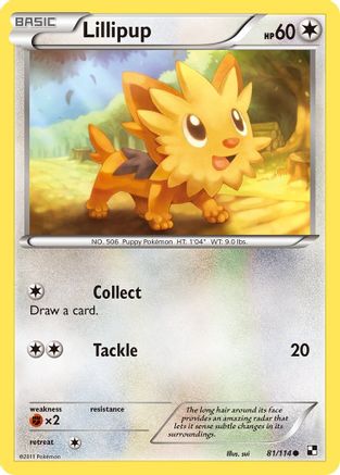 Lillipup (81)  - Common