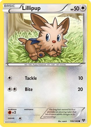 Lillipup  - Common