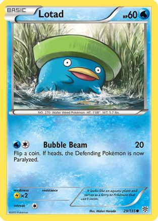Lotad 029/135  - Common