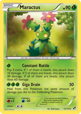 Maractus (12)  - Rare