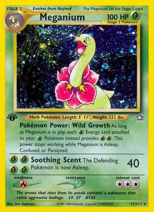 Meganium (11)/111  - 1st Edition Holofoil - Holo Rare