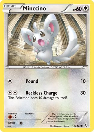 Minccino  - Common