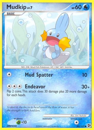 Mudkip 080/106  - Common