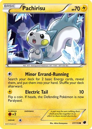 Pachirisu 037  - Common