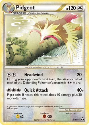 Pidgeot  - Rare