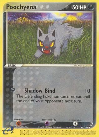 Poochyena - 65/109/109  - Common
