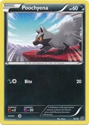 Poochyena (16/39) [XY : Kit de démarrage Kalos] 