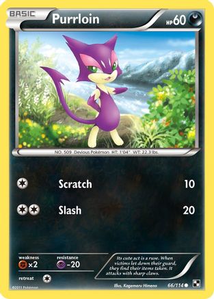Purrloin  - Common