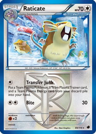 Raticate (Team Plasma) 088  - Rare