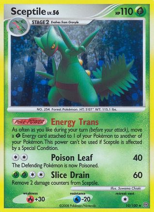 Sceptile  - Holofoil - Holo Rare