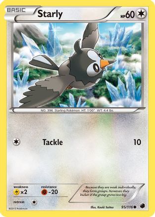 Starly  - Common