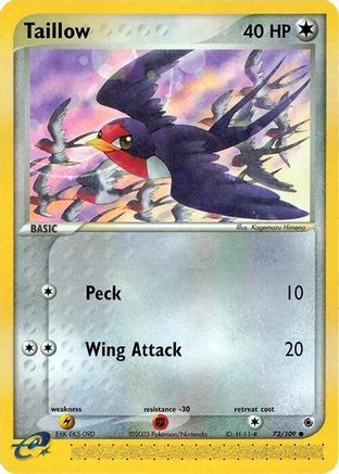 Taillow 072  - Common