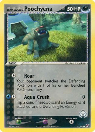 Team Aqua's Poochyena - 55/95/95  - Common