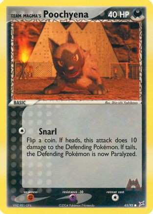 Team Magma's Poochyena - 65/95/95  - Common