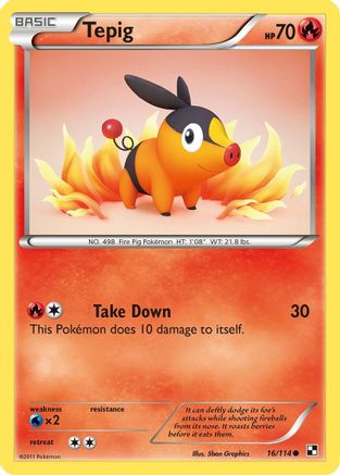 Tepig (16)  - Common
