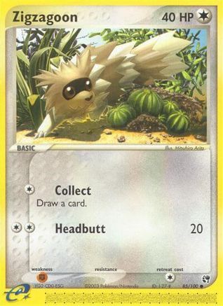 Zigzagoon  - Common