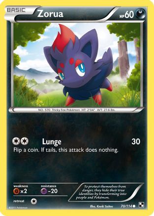 Zorua  - Common