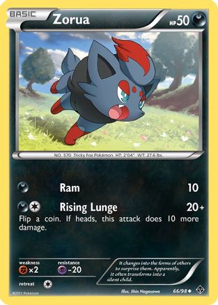 Zorua  - Common