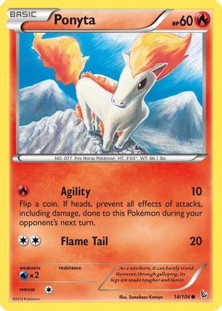 Ponyta 014  - Common